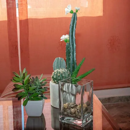 Apartamento Pleno Centro Victoria Parking Gratis Cordoba